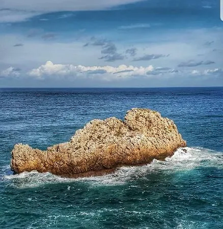 Flore * Casteldaccia