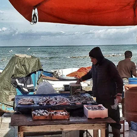 Flore * Casteldaccia